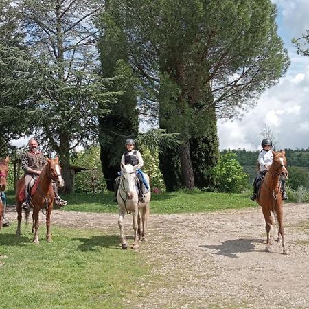 All'Antico Silbule Capolona المظهر الخارجي الصورة
