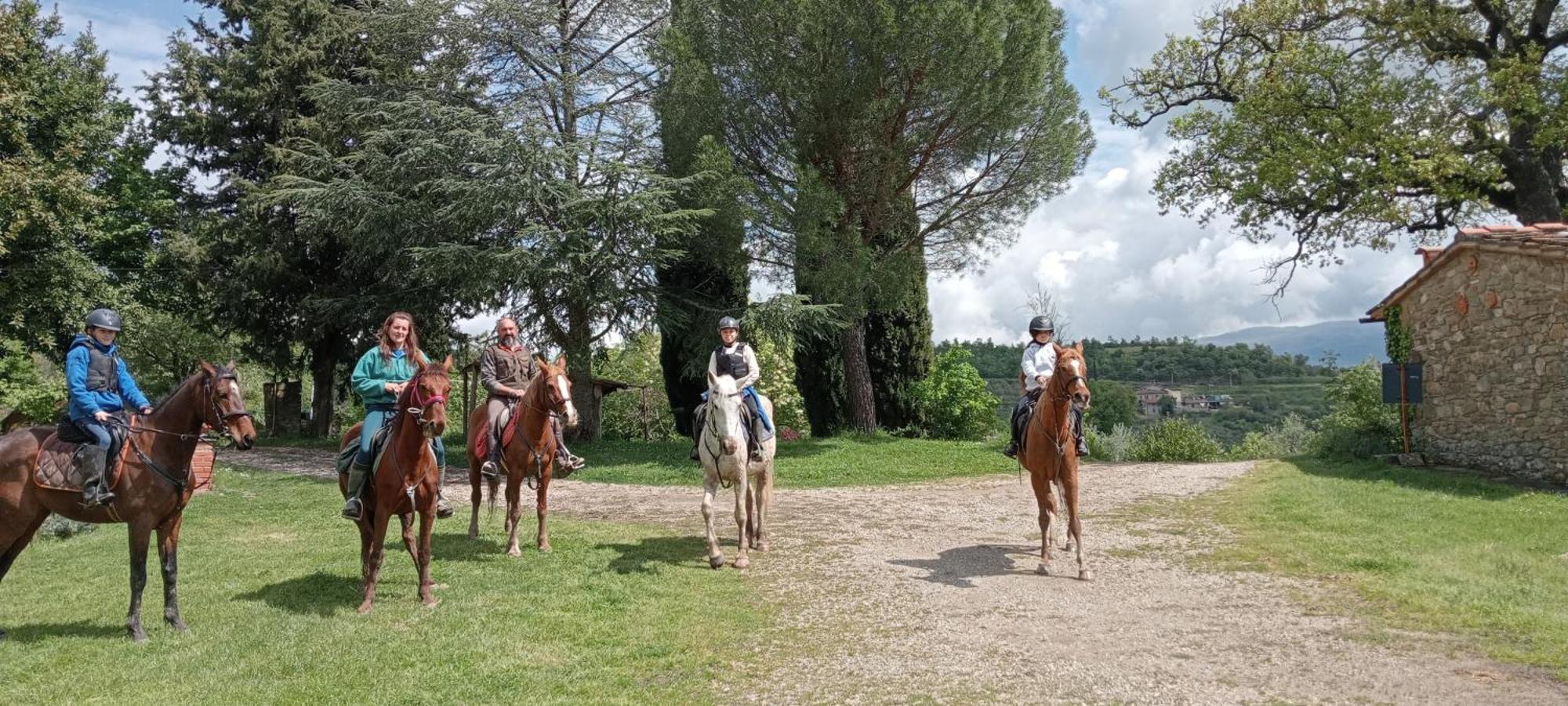 All'Antico Silbule Capolona المظهر الخارجي الصورة